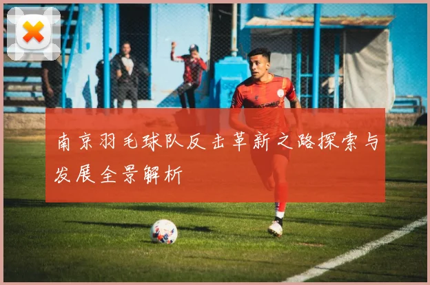 南京羽毛球队反击革新之路探索与发展全景解析