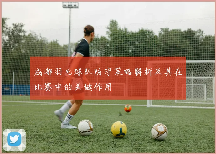 成都羽毛球队防守策略解析及其在比赛中的关键作用